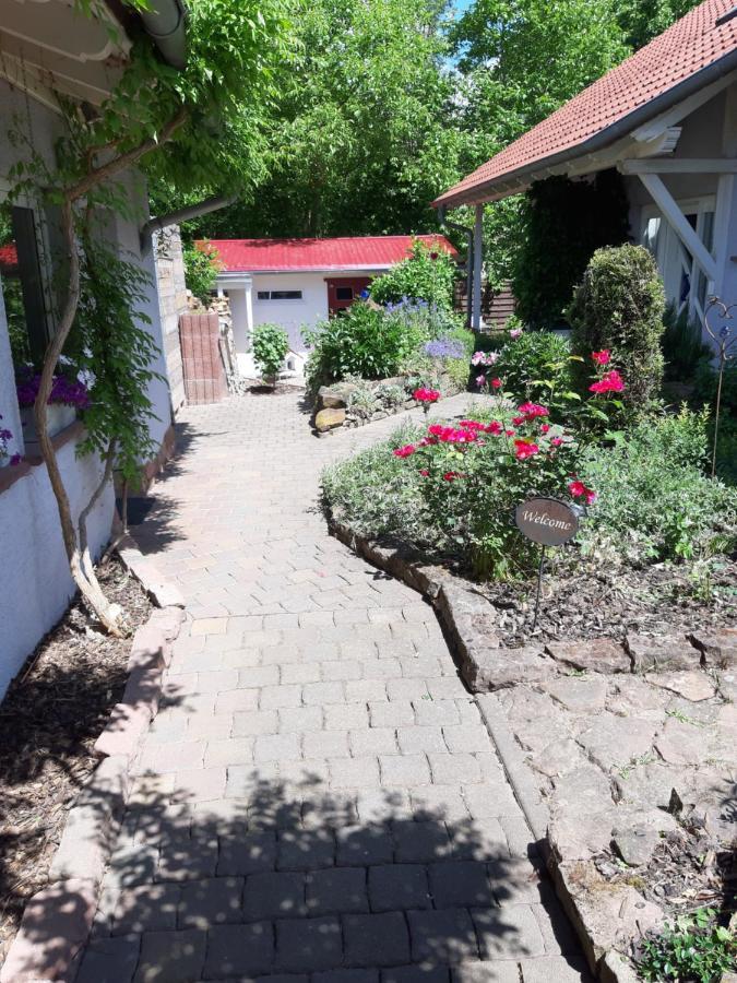 Ferienwohnung Im Schoenen Zellertal Wachenheim an der Weinstraße المظهر الخارجي الصورة