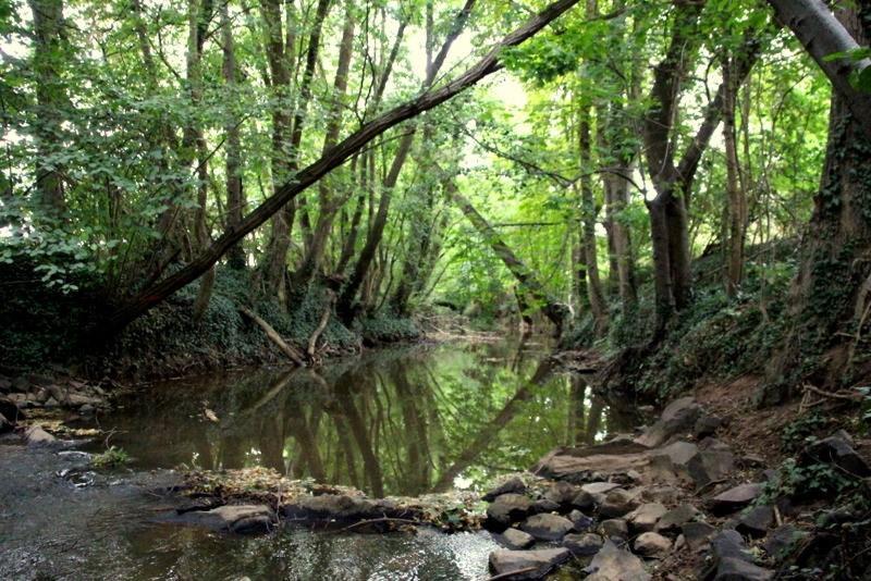 Ferienwohnung Im Schoenen Zellertal Wachenheim an der Weinstraße المظهر الخارجي الصورة